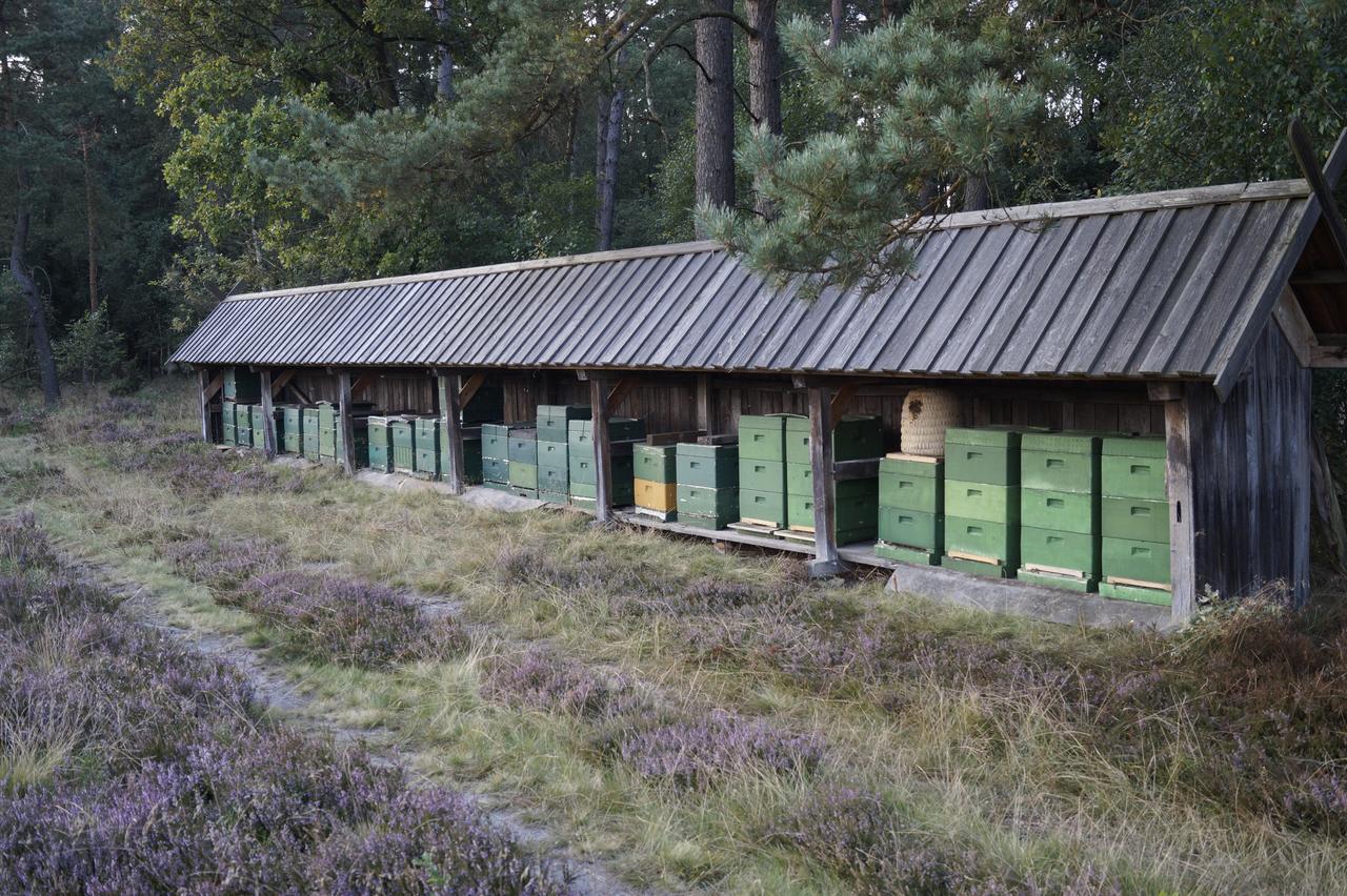 Ferienwohnungen / Ferienhaus Wahlers บิสพิงเงน ภายนอก รูปภาพ